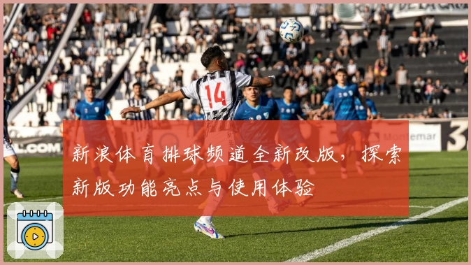 新浪体育排球频道全新改版，探索新版功能亮点与使用体验