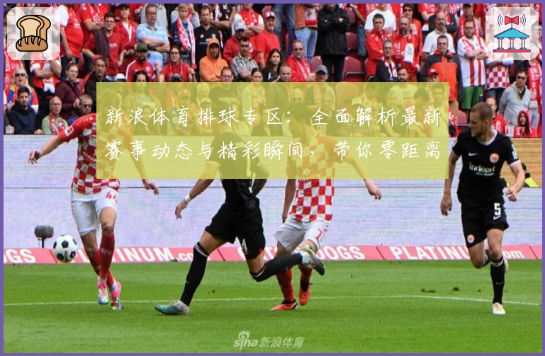新浪体育排球专区：全面解析最新赛事动态与精彩瞬间，带你零距离感受排球独特魅力