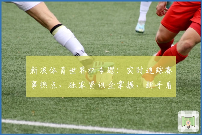 新浪体育世界杯专题：实时追踪赛事热点，独家资讯全掌握，新手看球必备攻略