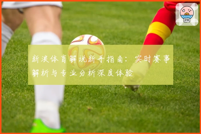 新浪体育解说新手指南：实时赛事解析与专业分析深度体验