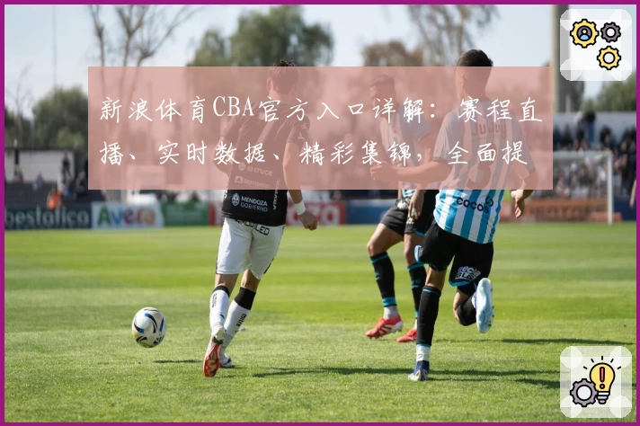 新浪体育CBA官方入口详解：赛程直播、实时数据、精彩集锦，全面提升观赛体验