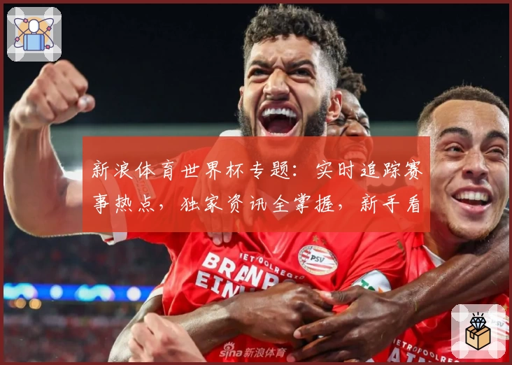 新浪体育世界杯专题：实时追踪赛事热点，独家资讯全掌握，新手看球必备攻略