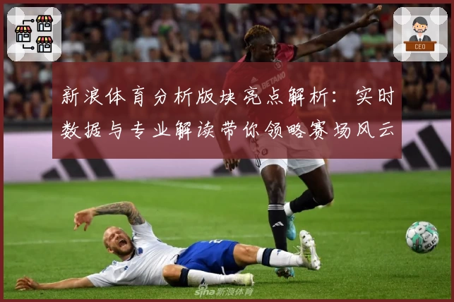 新浪体育分析版块亮点解析：实时数据与专业解读带你领略赛场风云
