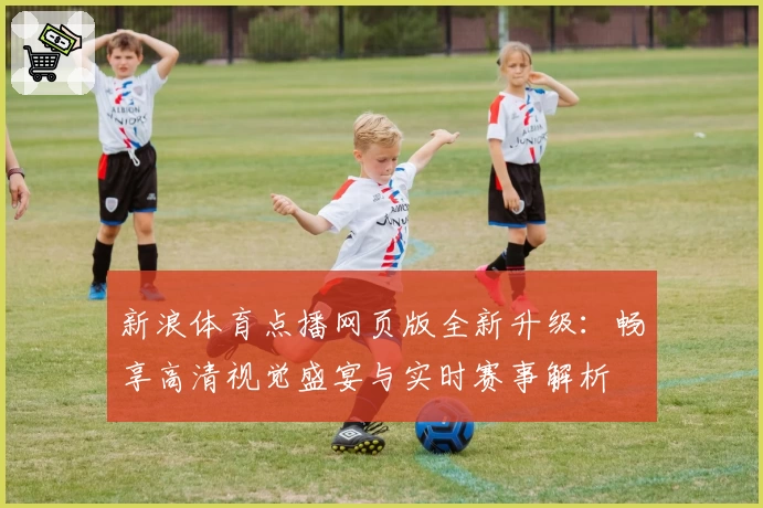 新浪体育点播网页版全新升级：畅享高清视觉盛宴与实时赛事解析