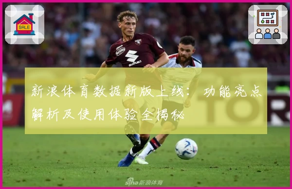 新浪体育数据新版上线：功能亮点解析及使用体验全揭秘
